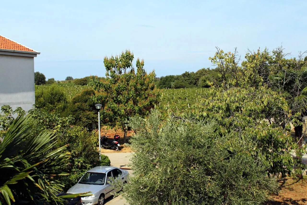 Apartments With A Parking Space Novigrad - 2536 Novigrad (Istria)